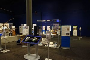 Frank System Showcasing an Exhibit on Darwin and Dinosaurs